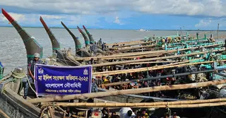 মা ইলিশ সংরক্ষণে নৌবাহিনীর অভিযানে ১৯ কোটি টাকার মালামাল জব্দ